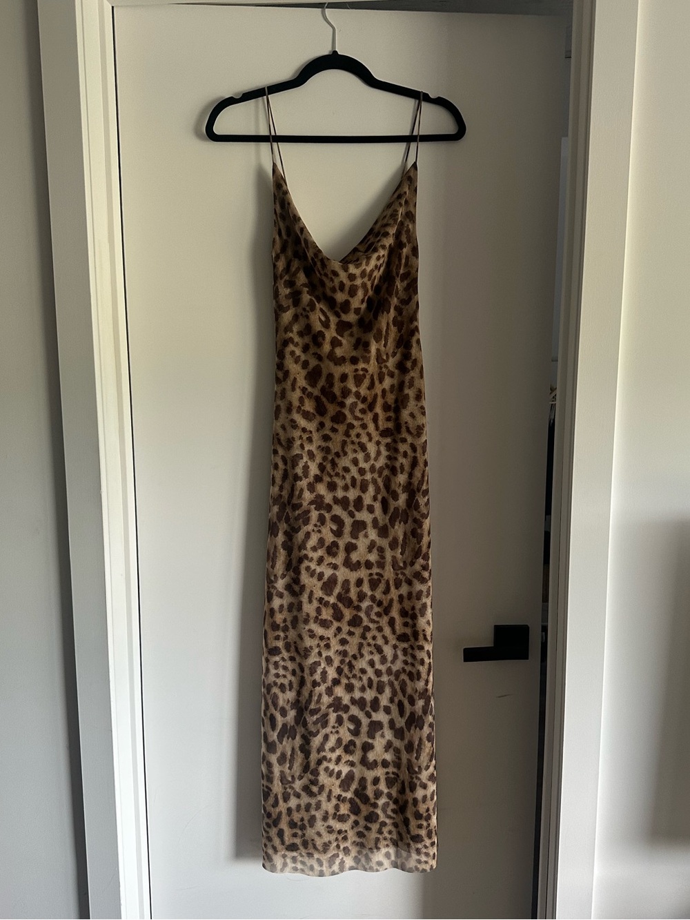 Zara leopard print maxi dress
